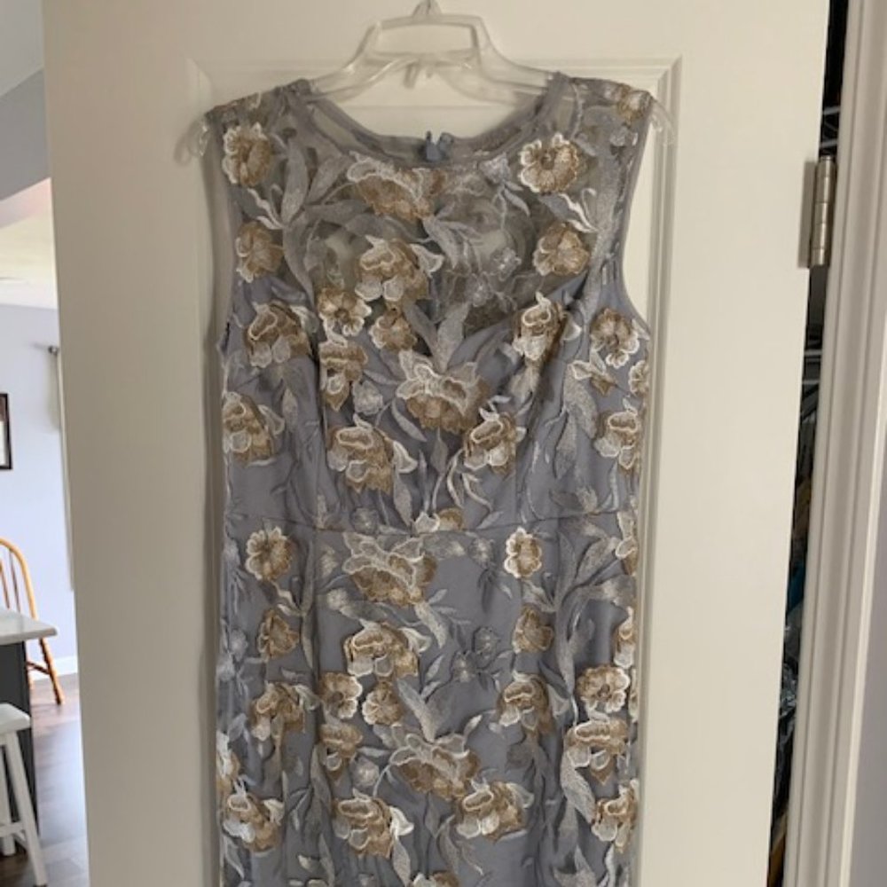 Adrianna Papell Mother of the Bride dress